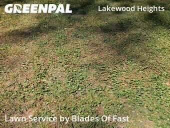 Lawn Mow nearby Atlanta, GA, 
