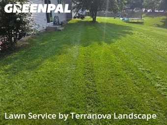 Lawn Cut nearby Bolingbrook, IL, 