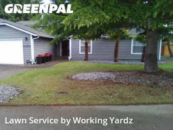 Lawn Services in Federal Way, 98023, Yard Work by Working Yardz, work completed in Aug , 2025