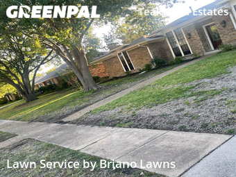 Grass Cut nearby Plano, TX, 