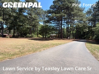 Lawn mowed in Cary, 27519