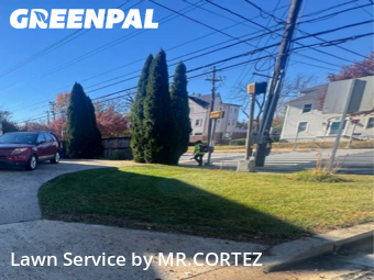 Grass Care in Bethesda, 20814, Turf Services by MR.CORTEZ, work completed in Nov , 2025
