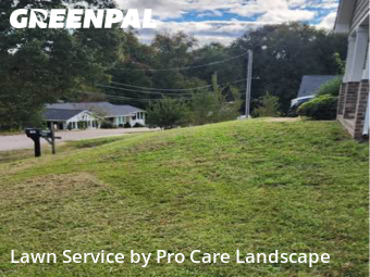 Lawn Mowingin Kannapolis,28081,Lawn Cut by Pro Care Landscape , work completed in Oct , 2025