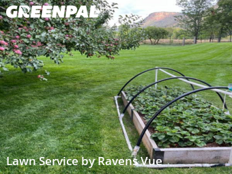 Yard Mowing nearby Lyons, CO, 