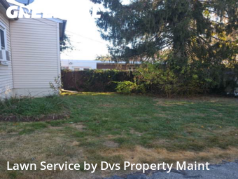 Yard Care in Wilmington, 19804, Lawn Management by Dvs Property Maint, work completed in Dec , 2025