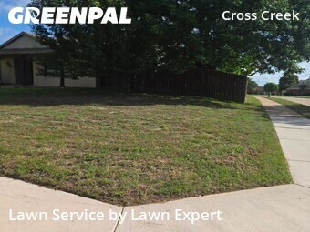 Yard Mowing nearby Plano, TX, 