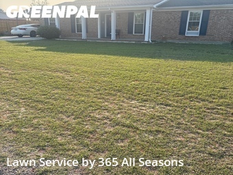 Grass Cut nearby Hephzibah, GA, 