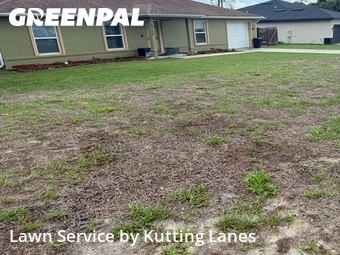 Lawn Cut nearby Ocala, FL, 