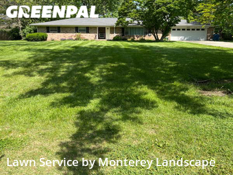 Lawn Cut nearby Indianapolis, IN, 