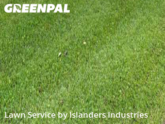 Lawn Care Service nearby Baton Rouge, LA, 