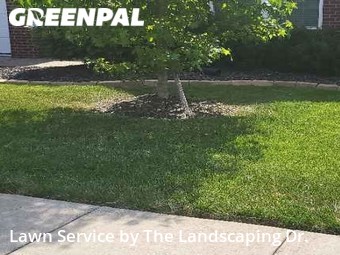 Grass Cutting nearby Louisville, KY, 