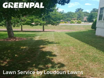 Lawn Upkeep in Ashburn, 20147, Grass Cutting by Loudoun Lawns, work completed in Nov , 2025