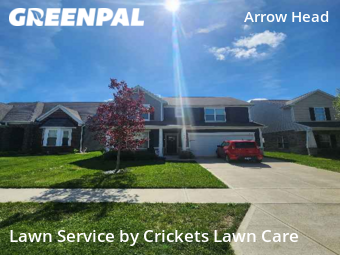 Grass Cut nearby Indianapolis, IN, 