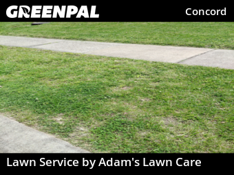 Lawn Mowing nearby St. Louis, MO, 