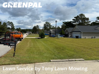 Grass Cutting nearby Bunnlevel, NC, 