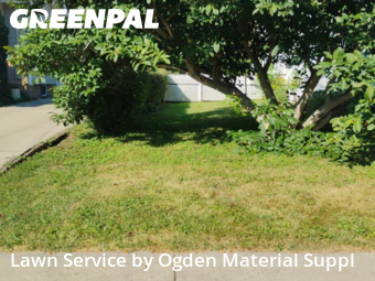 Lawn Care nearby Lombard, IL, 