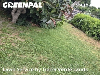Lawn Cutting nearby Los Angeles, CA, 
