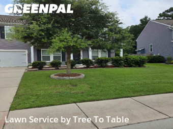 Yard Mowing nearby Charleston, SC, 
