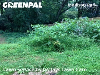 Lawn Maintenance nearby Charlotte, NC, 