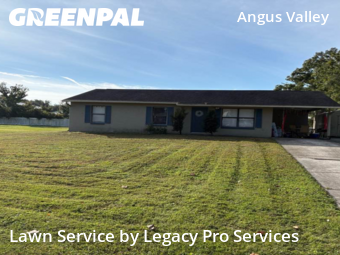 Grass Cutting nearby Zephyrhills, FL, 