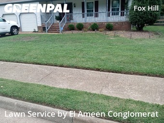 Lawn Mow nearby Hampton, VA, 