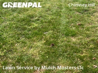 Yard Mowing nearby Virginia Beach, VA, 