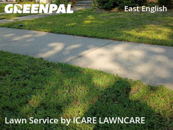 Grass Cutting in Detroit, 48224, Yard Maintenance by ICARE LAWNCARE , work completed in Nov , 2025