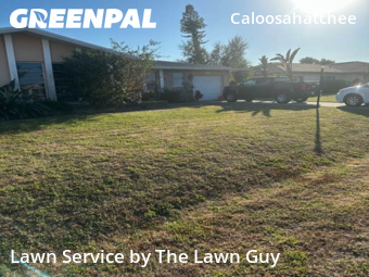 Lawn mowed in Cape Coral, 33904