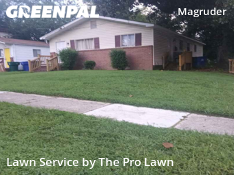 Grass Cutting nearby Newport News, VA, 