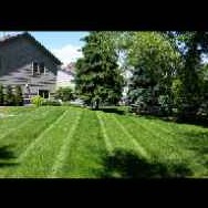 cheap-lawn-cutting-businesses-in-Lakeville-MN