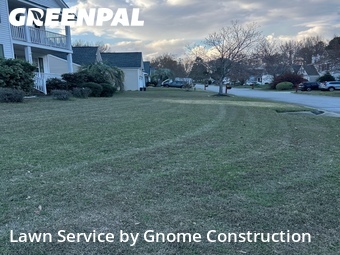 Yard Cutting nearby Lexington, SC, 