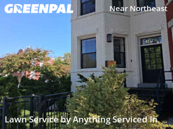 Lawn Care nearby Washington, MD, 