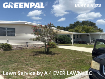 Lawn Cut nearby Holiday, FL, 