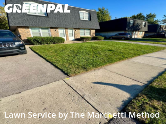 Lawn Cutting nearby North Aurora, IL, 