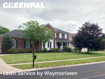 Lawn Mow nearby Louisville, KY, 