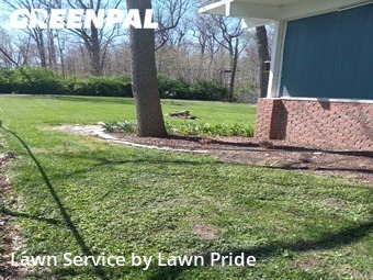 Grass Cutting nearby Fort Wayne, IN, 