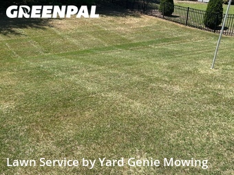 Lawn Cut nearby Charlotte, NC, 