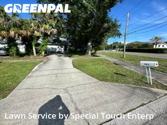 Lawn Cutin Oldsmar,34677,Lawn Cut by Special Touch Enterp, work completed in Nov , 2025