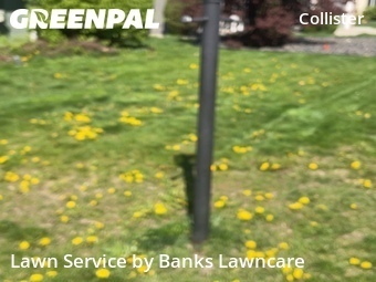 Lawn mowed in Boise, 83703