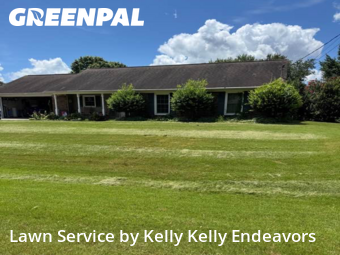 Lawn Cut nearby Madison, AL, 