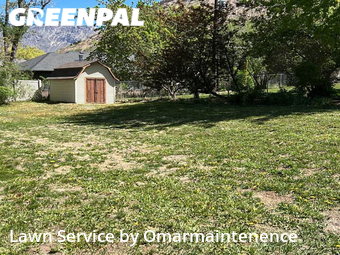 Lawn Maintenance nearby Ogden, VA, 