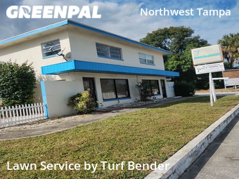 Lawn Cut nearby Tampa, FL, 