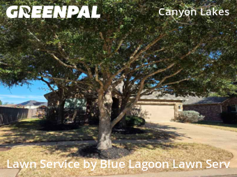 Lawn Servicein Cypress,77433,Lawn Mowing Service by Blue Lagoon Lawn Serv, work completed in Feb , 2026