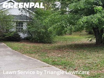 Lawn Cutting nearby Holly Springs, NC, 