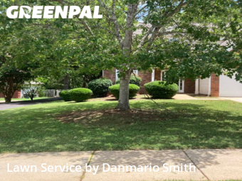 Lawn Cutting nearby Locust Grove, GA, 