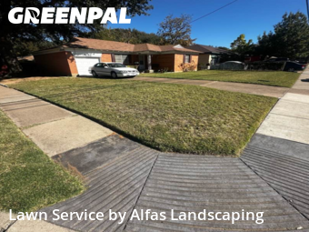 Landscapers In Irving,75061,Landscaping Services by Alfas Landscaping, work completed in Nov , 2025