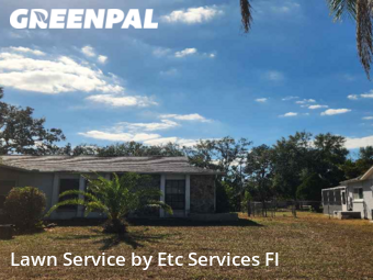 Yard Grooming in Bayonet Point, 34668, Yard Maintenance by Etc Services Fl, work completed in Nov , 2025