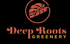Best Nursery in Newport News Virginia 1