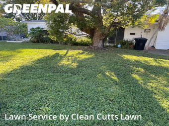 Lawn Care Service nearby St. Petersburg, FL, 