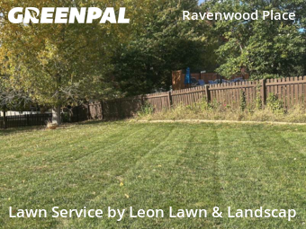 Lawn Cut nearby Olathe, KS, 